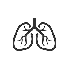 Respiratory Medicine